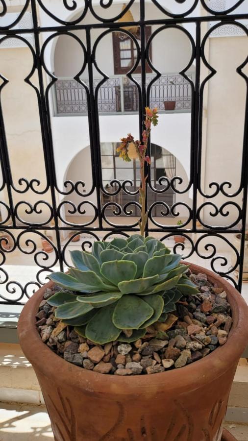 Riad Nohad Marrakech Marrakesch Exterior foto