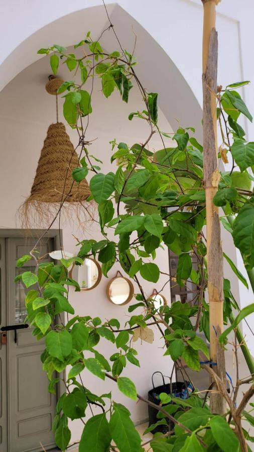 Riad Nohad Marrakech Marrakesch Exterior foto